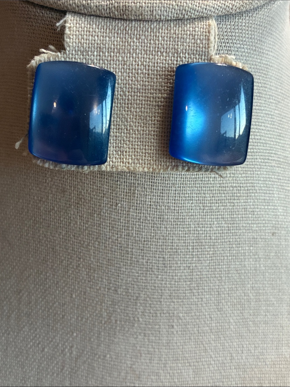 Blue Rectangle Acrylic Stud Earrings